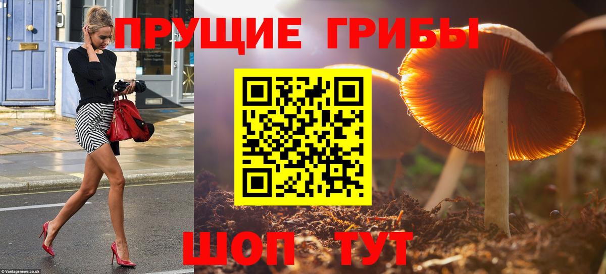 Семёнов  Псилоцибиновые грибы Magic Shrooms  Вход с VPN 
